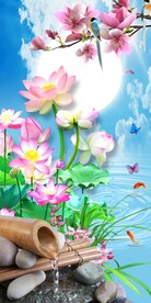 花好月圆荷塘月色玄关