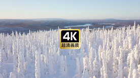 冬季雪原树林美景