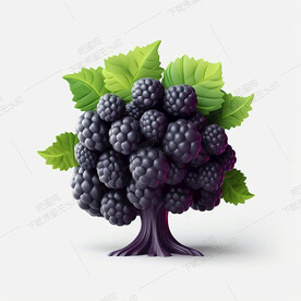 卡通桑葚白底图