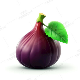 高清卡通无花果