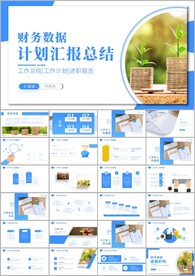 大气财务数据报告工作总结PPT