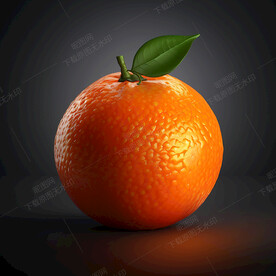 手绘高清橘子