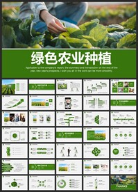 绿色农业种植业动态PPT模板