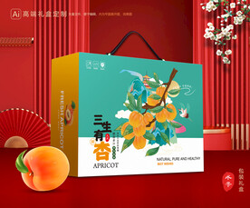 杏礼盒 黄杏包装