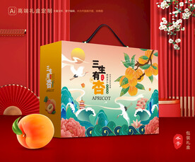 杏礼盒 黄杏包装