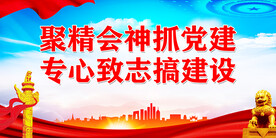 聚精会神抓党建