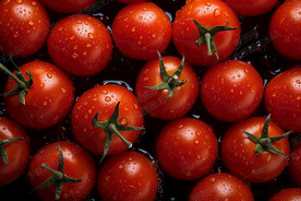 小番茄背景素材