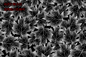 高清分层透明底白色枫叶打印图