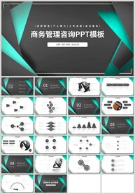 商务管理咨询PPT