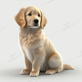 卡通金毛犬
