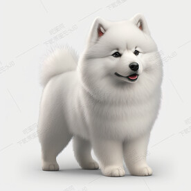 可爱的萨摩耶犬