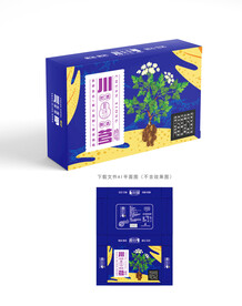 川芎包装 