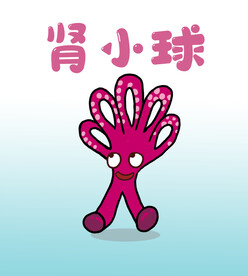 肾炎卡通娃娃肾小球插画