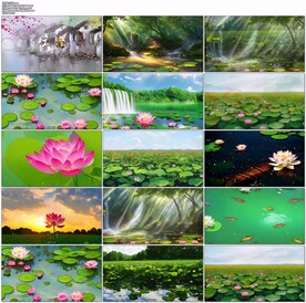 古诗新唱《江南》可采莲舞蹈背景