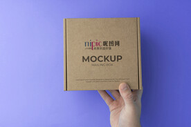 瓦楞纸飞机盒样机