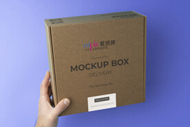 瓦楞纸飞机盒样机