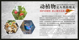 保护野生动植物海报