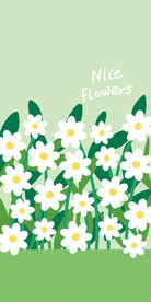 白菊花手机壳图案