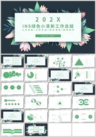 INS小清新绿色工作总结PPT