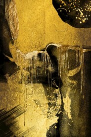 高贵财运装饰画