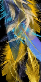 轻奢羽毛大气玄关