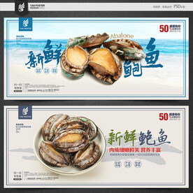 鲍鱼