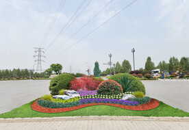 城市节点元旦花镜