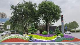 城市节点元旦花镜