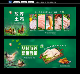 散养土鸡