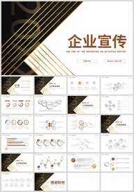 黑金风企业宣传公司介绍PPT