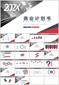 红蓝色通用融资商业计划书PPT