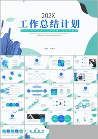 商务项目工作总结工作汇报ppt