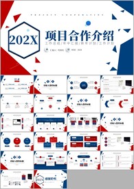 项目汇报介绍工作总结 PPT