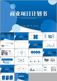 项目融资商业计划书ppt