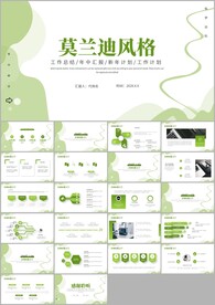 莫兰迪风工作总结工作报告ppt