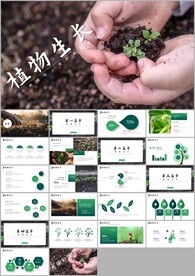 敬畏生命植物生长发芽环保ppt