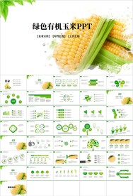 金色玉米绿色果类有机玉米ppt