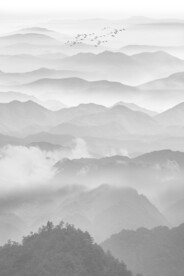 山水水墨玄关画