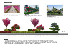 市政道路绿化带立面示意图