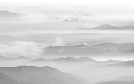 黑白水墨山水画背景墙