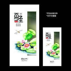 二十四节气夏至