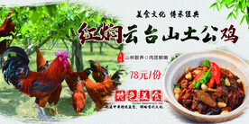 美食农家土公鸡