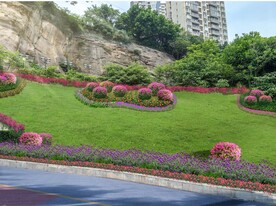 市政道路 斜坡绿化 边坡绿化 