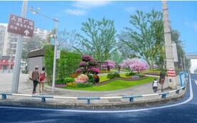 街角转角绿化提档升级组团绿化