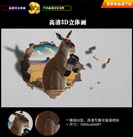 袋鼠立体画