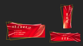 节目条 字幕条 人名条