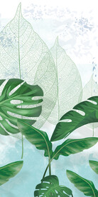 绿植 清晰北欧玄关 TIf分层