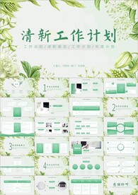 清新简约工作总结计划ppt