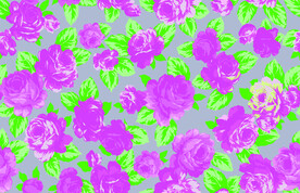  网红潮流玫瑰花