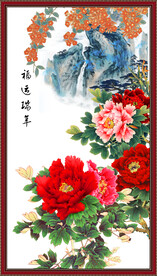 牡丹花